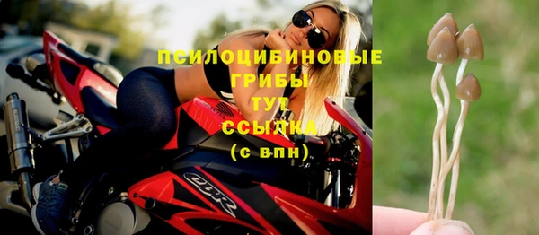 ПСИЛОЦИБИНОВЫЕ ГРИБЫ Алексеевка
