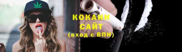 твердый Алзамай